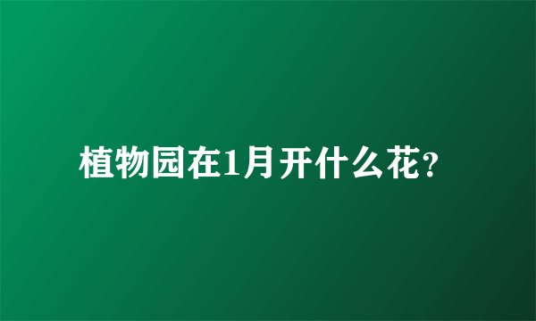 植物园在1月开什么花？