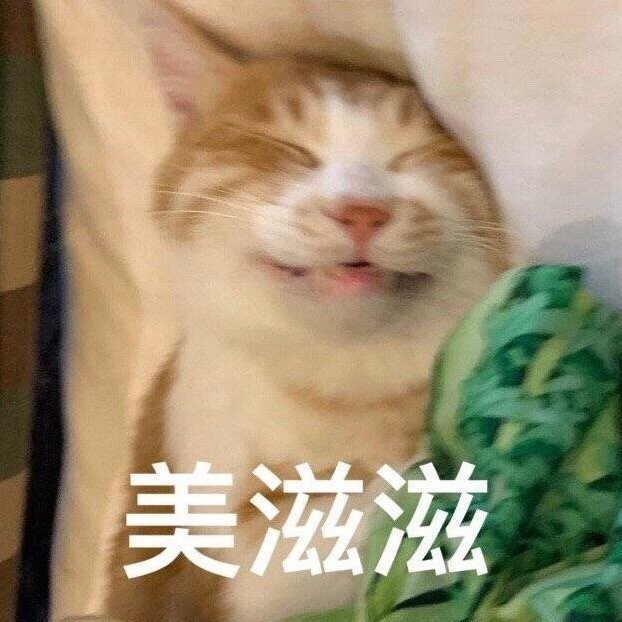 周杰伦的所有歌曲