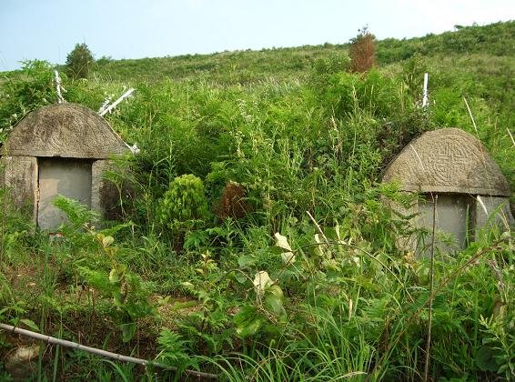 加拿大又发现200个儿童墓穴，这墓穴究竟是什么来历？