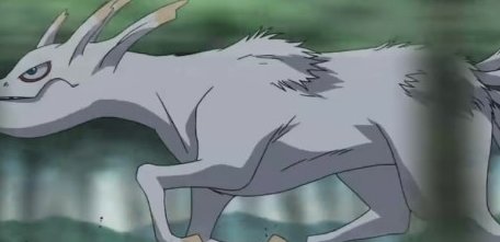 火影忍者9大尾兽和人柱力各叫什么名字?