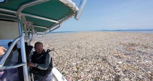 海洋中出现垃圾大陆，对我国海域会造成什么样的影响？