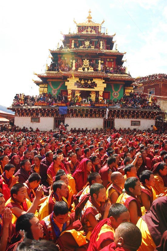 红教，白教的，黄教，花教，有什么区别？