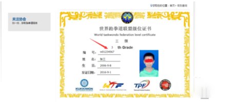 跆拳道证书怎么查