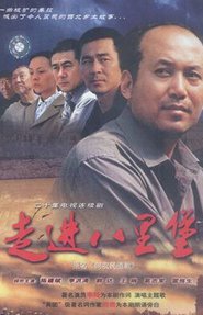 很穷的那种农村电视剧。