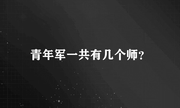 青年军一共有几个师？