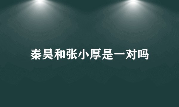 秦昊和张小厚是一对吗