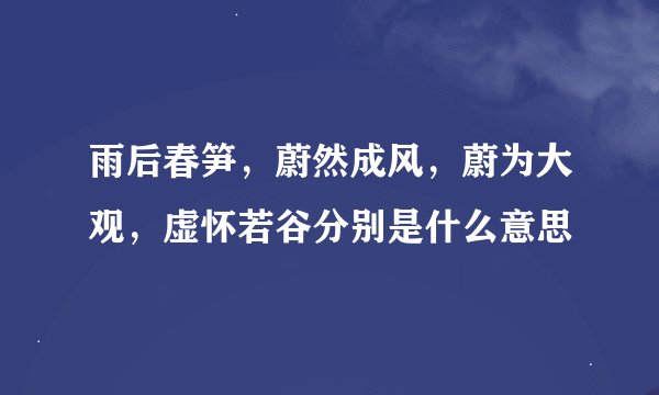 雨后春笋，蔚然成风，蔚为大观，虚怀若谷分别是什么意思