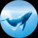 求大神给发生僻字MP3