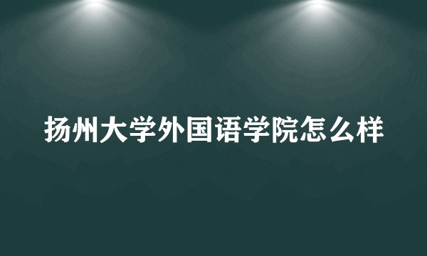 扬州大学外国语学院怎么样