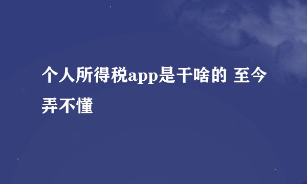 个人所得税app是干啥的 至今弄不懂