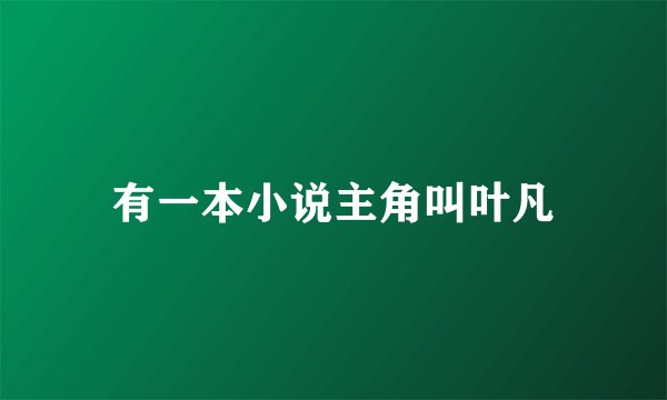 有一本小说主角叫叶凡