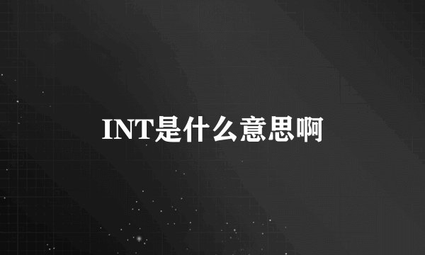 INT是什么意思啊