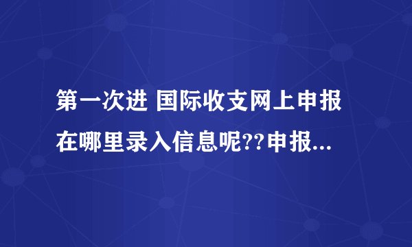 第一次进 国际收支网上申报在哪里录入信息呢??申报信息录入 录不了啊??怎么回事啊 急