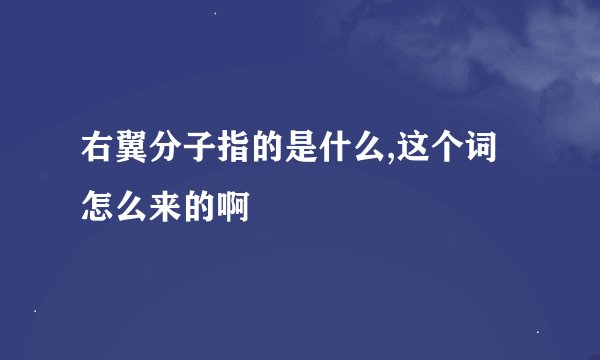 右翼分子指的是什么,这个词怎么来的啊