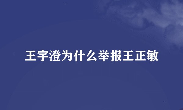 王宇澄为什么举报王正敏