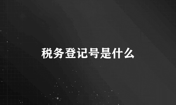 税务登记号是什么