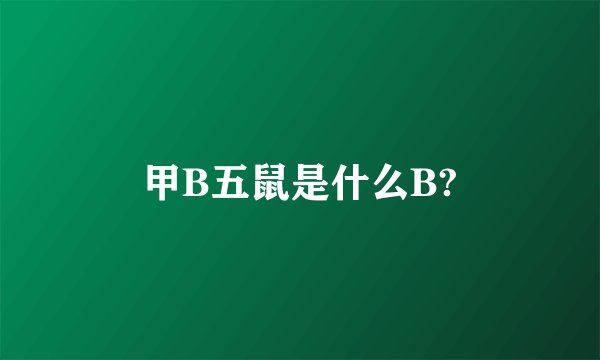 甲B五鼠是什么B?