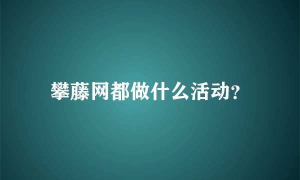 攀藤网都做什么活动？