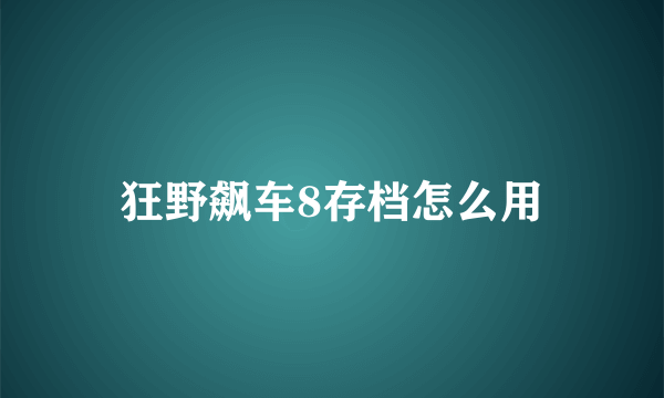 狂野飙车8存档怎么用