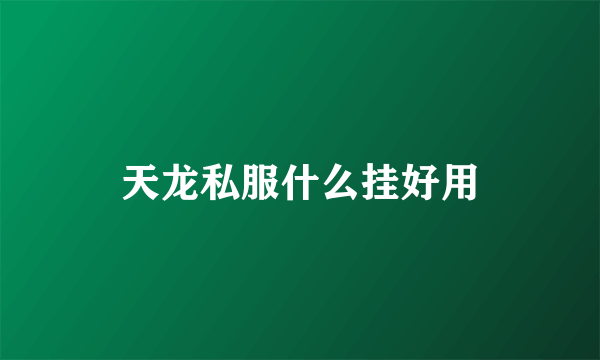 天龙私服什么挂好用