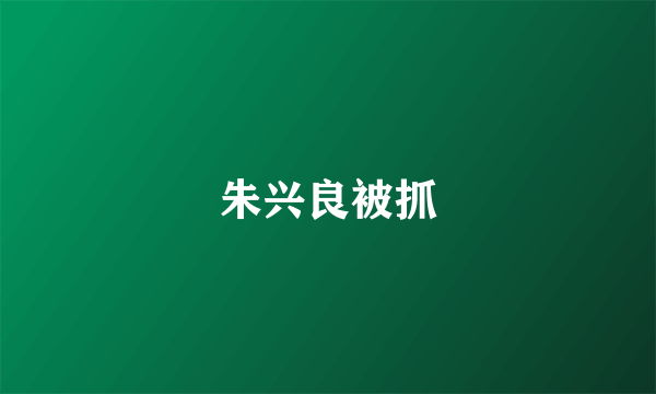朱兴良被抓