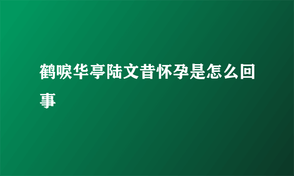 鹤唳华亭陆文昔怀孕是怎么回事