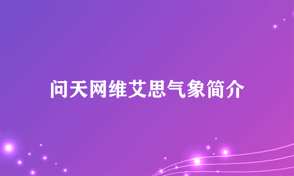 问天网维艾思气象简介
