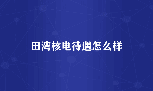 田湾核电待遇怎么样