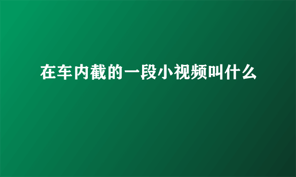 在车内截的一段小视频叫什么