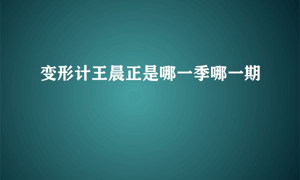 变形计王晨正是哪一季哪一期