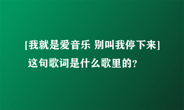 [我就是爱音乐 别叫我停下来] 这句歌词是什么歌里的？