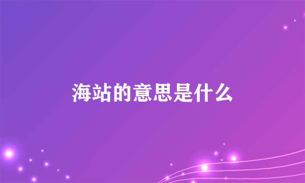 海站的意思是什么