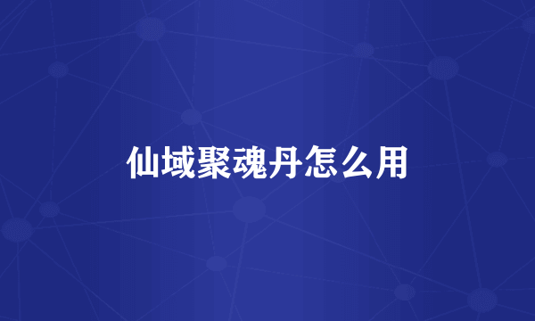 仙域聚魂丹怎么用