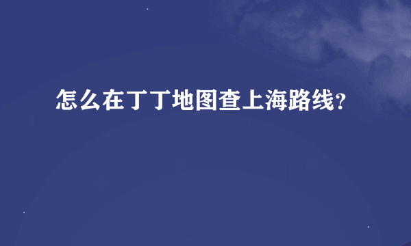 怎么在丁丁地图查上海路线？
