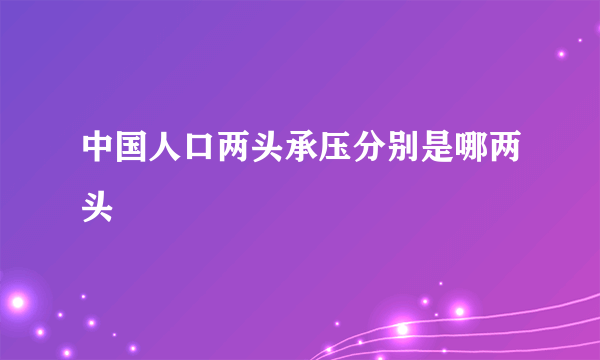 中国人口两头承压分别是哪两头