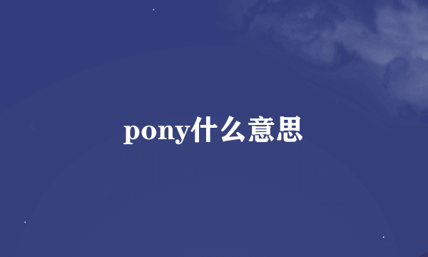 pony什么意思
