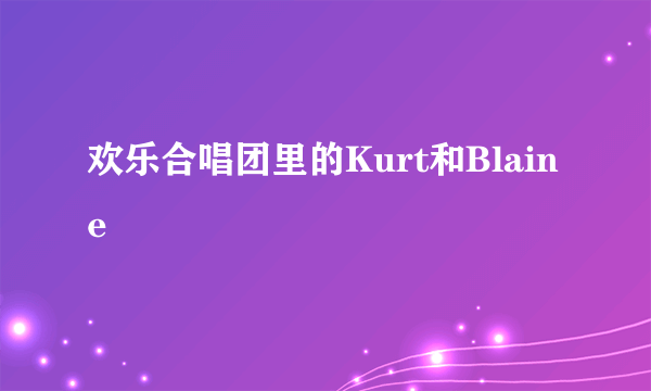 欢乐合唱团里的Kurt和Blaine