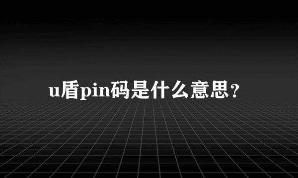u盾pin码是什么意思？