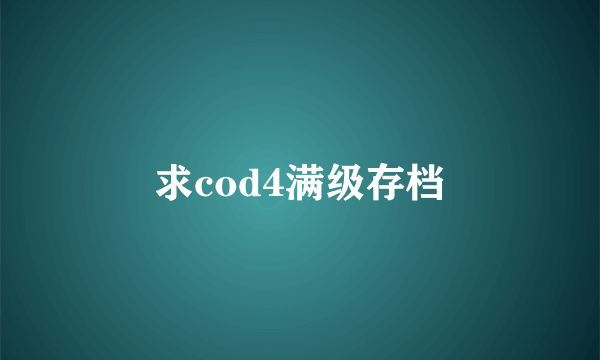 求cod4满级存档