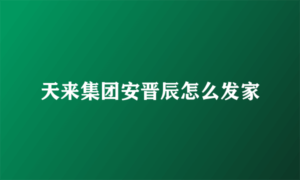 天来集团安晋辰怎么发家