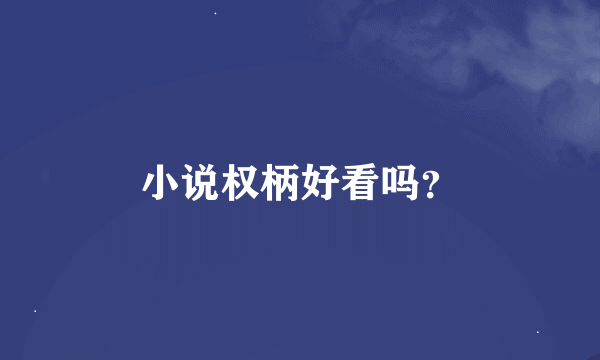 小说权柄好看吗？