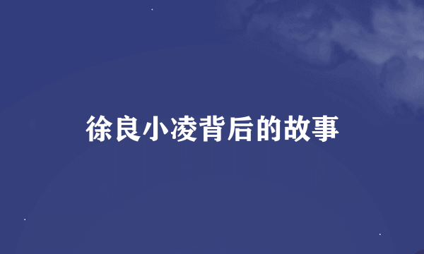 徐良小凌背后的故事