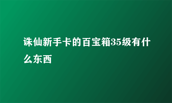 诛仙新手卡的百宝箱35级有什么东西