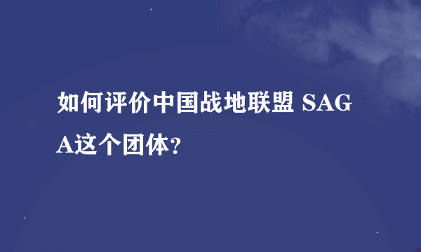 如何评价中国战地联盟 SAGA这个团体？