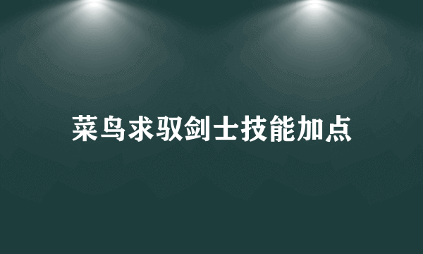 菜鸟求驭剑士技能加点