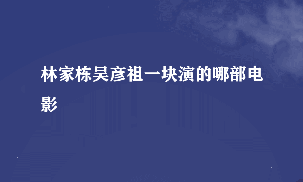 林家栋吴彦祖一块演的哪部电影