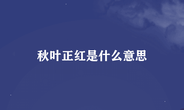 秋叶正红是什么意思