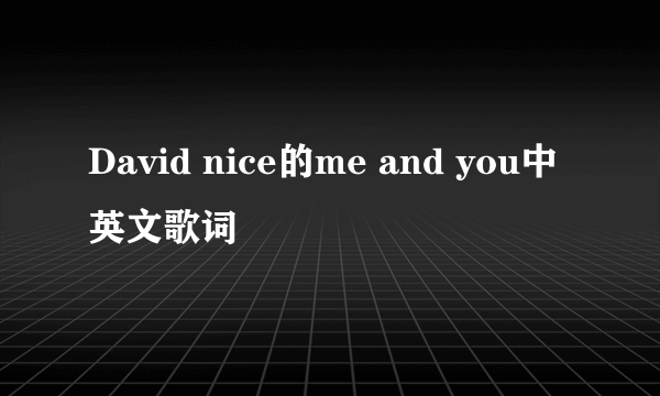 David nice的me and you中英文歌词