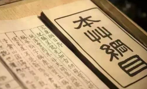 人魄是什么？