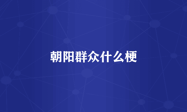 朝阳群众什么梗
